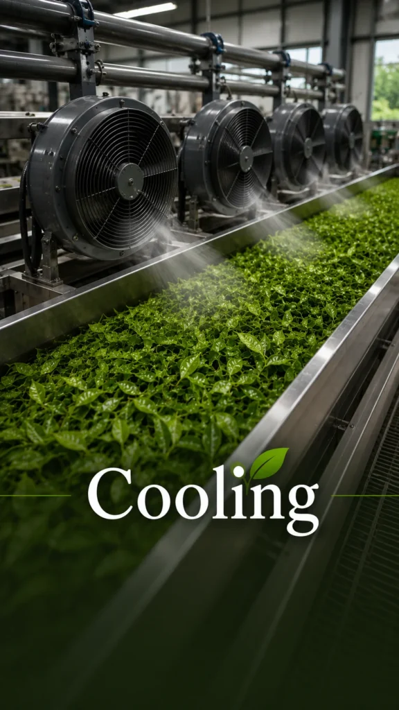 cooling_副本