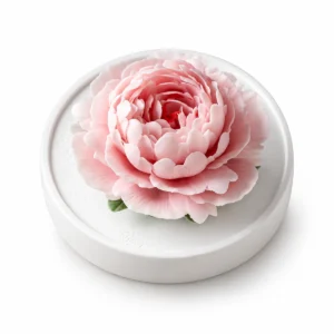 Home & Fragrance
